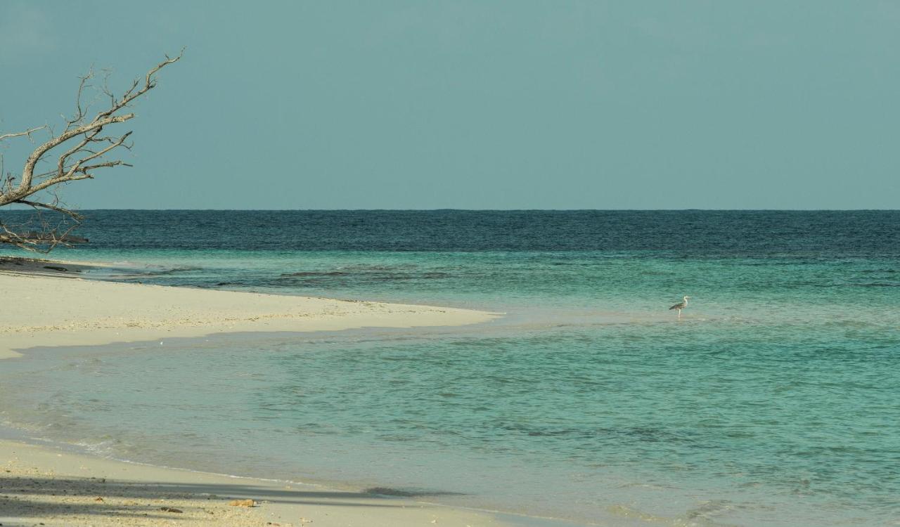 منتجع فور سيزونز سيشل في جزيرة ديسروتشس Desroches Island المظهر الخارجي الصورة