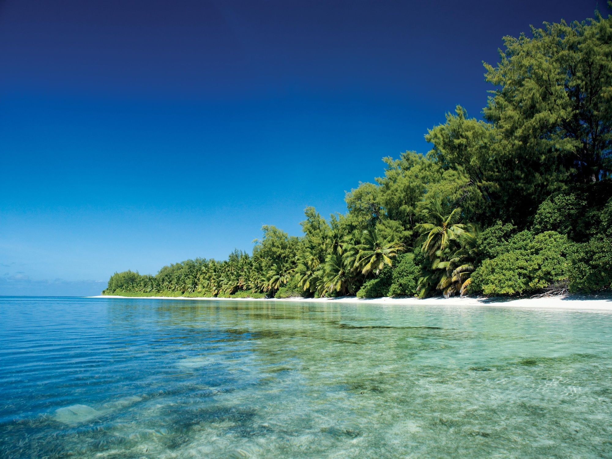 منتجع فور سيزونز سيشل في جزيرة ديسروتشس Desroches Island المظهر الخارجي الصورة