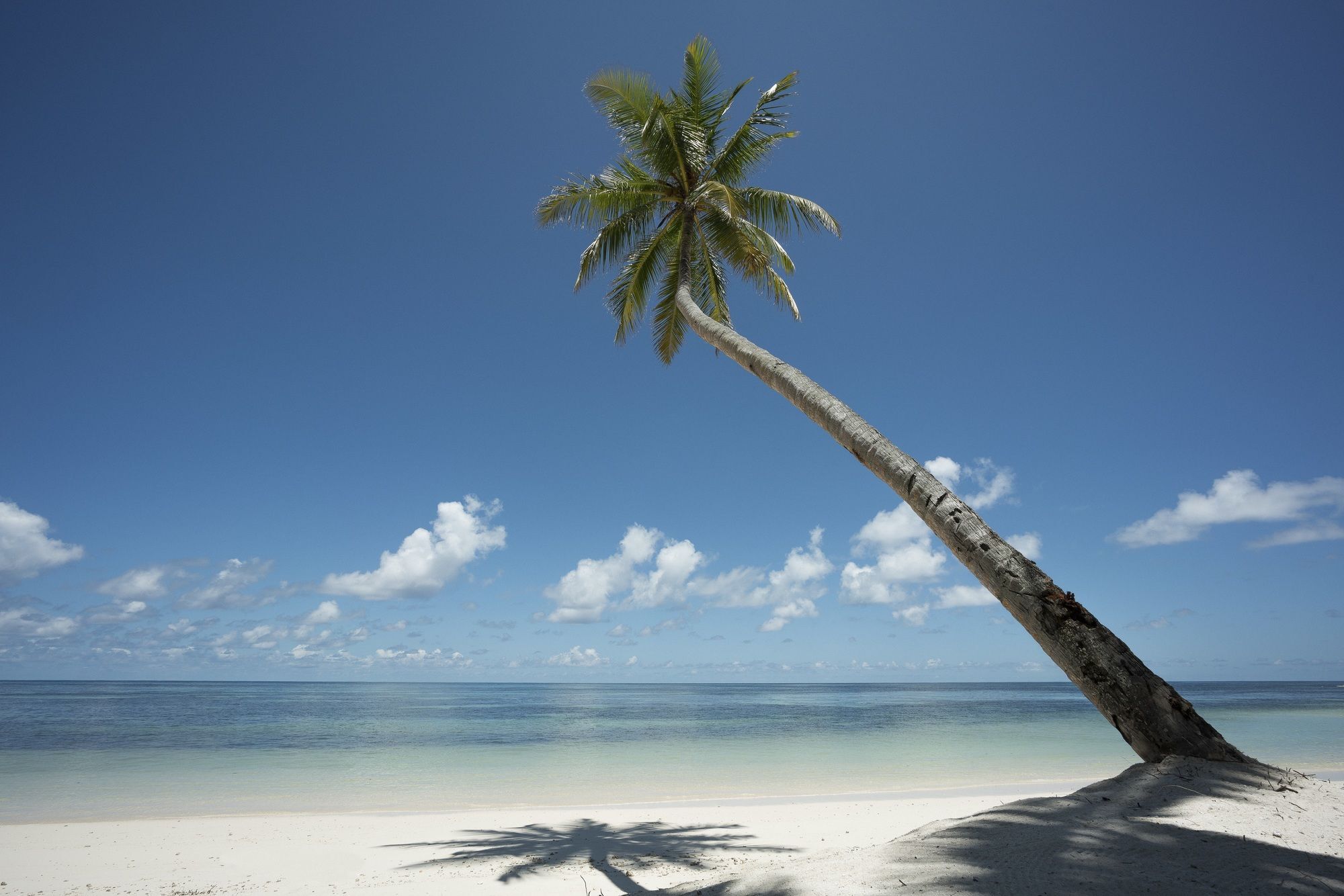 منتجع فور سيزونز سيشل في جزيرة ديسروتشس Desroches Island المظهر الخارجي الصورة